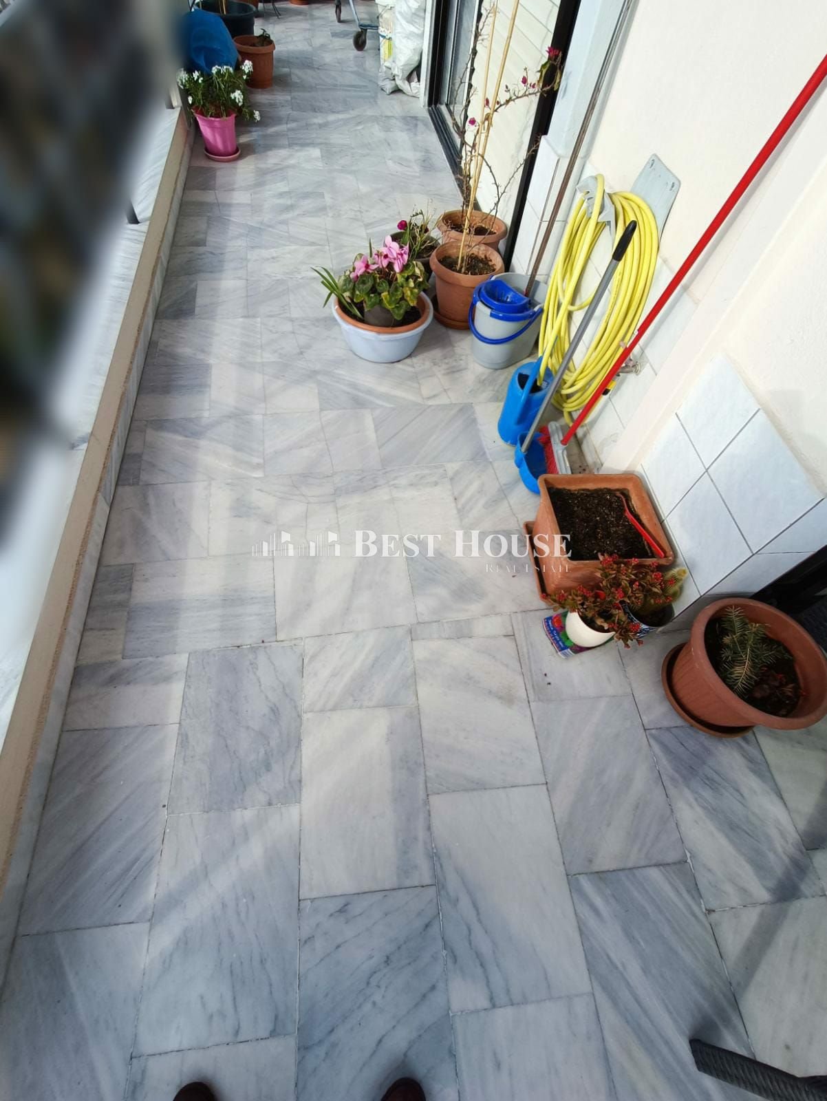 Archeio eikonas WhatsApp 2024-02-13 stis 13.54.36_4e05e179.jpg